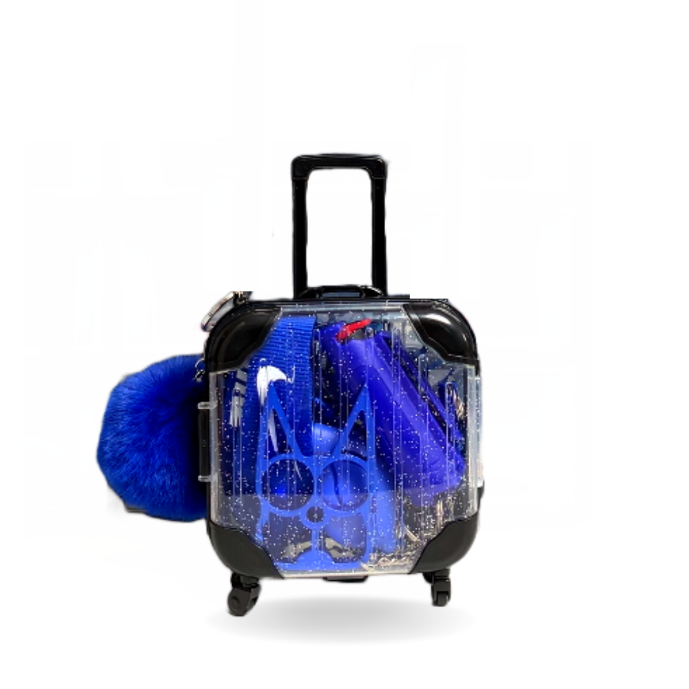 On-The-Go Mini Suitcase Self-Defense Kit