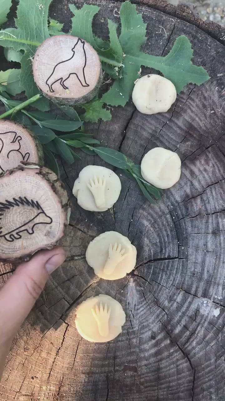 Animal Footprint Stamps Wooden Crafts
