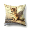 Load image into Gallery viewer, Cats Tribute Cushion Covers