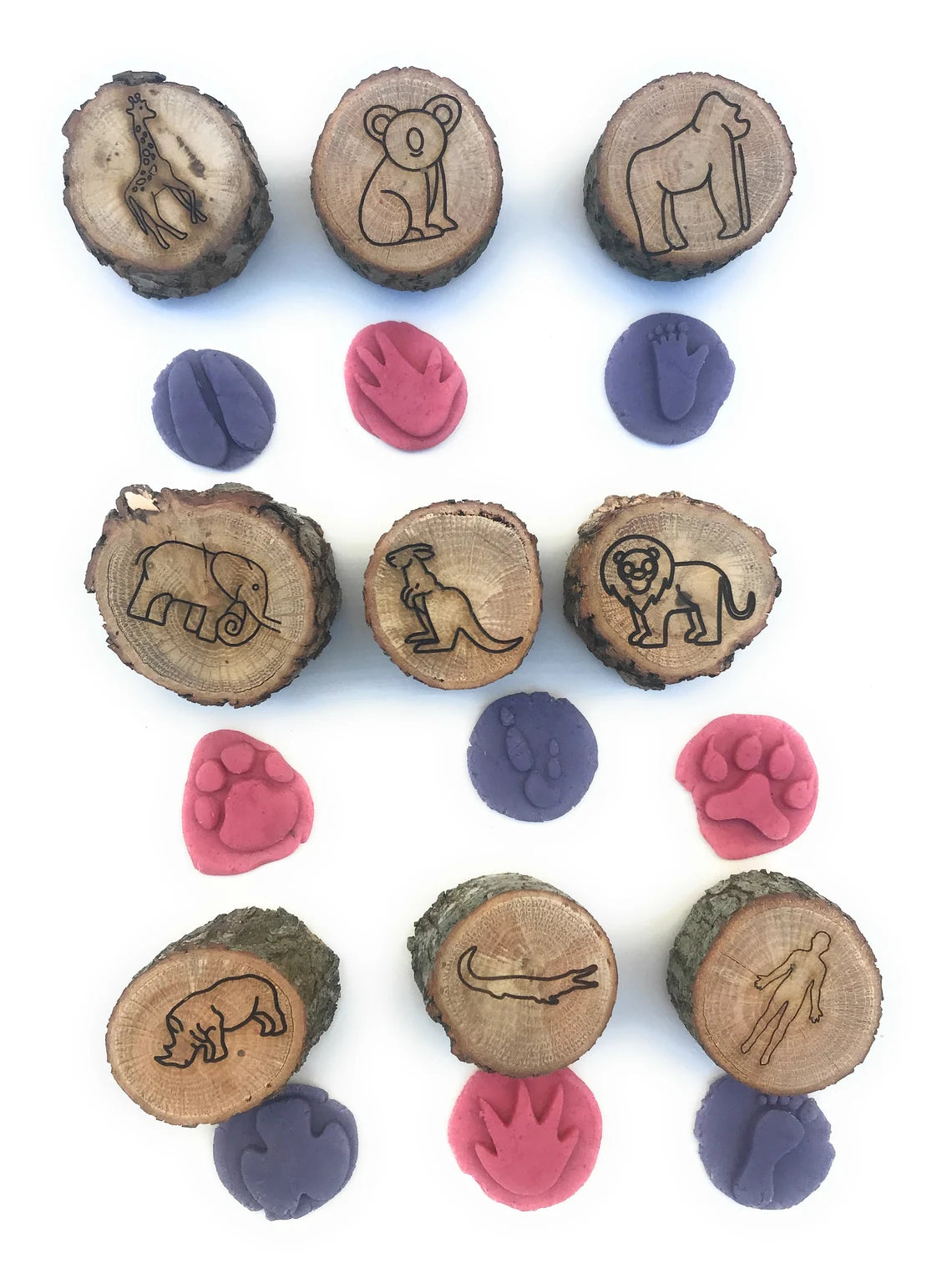 Animal Footprint Stamps Wooden Crafts